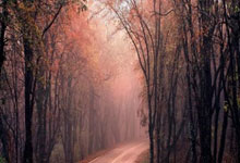 九游：[CBA]后卫新星各显神通 广东战胜南京.