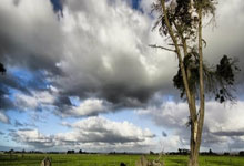 HWG,罗马诺:厄瓜多尔18岁前锋奥班多租借加盟迈阿密国际.