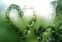 看台的温度,是客家精神的时代注脚.