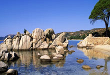 九游：[CBA]后卫新星各显神通 广东战胜南京.